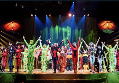 Cirque du Soleil’s OVO – A Celebration of Micro Brilliance